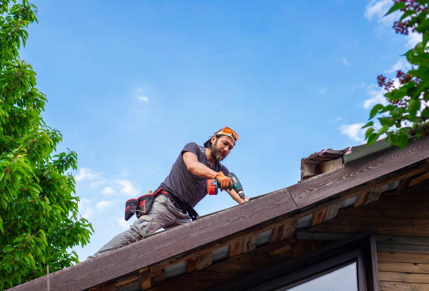 Best Emergency Roof Repair Services  in Ferrum, VA