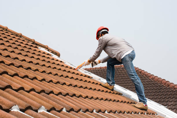Best Sheet Metal Roofing  in Ferrum, VA